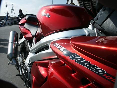 Aprilia Falco (død og genopstået) - 2005, Ebeltoft, Havmågen billede 7