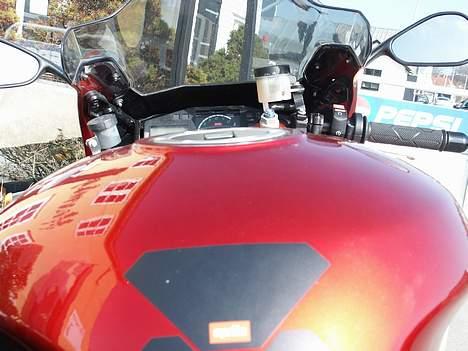 Aprilia Falco (død og genopstået) - 2005, Ebeltoft, Havmågen billede 8