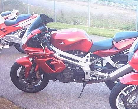 Aprilia Falco (død og genopstået) - Ring knutstorp 2003 - Ingen spejle, tape for lygter og blink. Double Bubble kåbeglas. billede 9