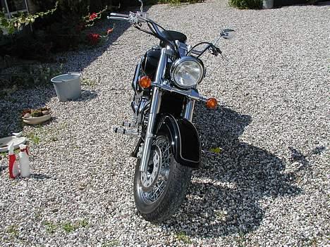 Suzuki VL 800 K3 billede 2