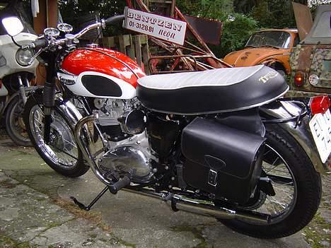 Triumph T120R Bonneville billede 1
