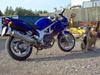 Suzuki SV 650 S