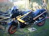 Kawasaki gpz 600r [Tidl. motorcykel]