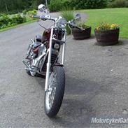 Suzuki vs 750