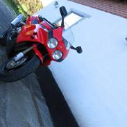 Honda cbr 900 rr