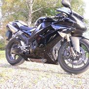 Kawasaki ZX10R SOLGT