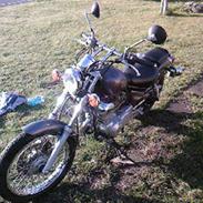 Yamaha virago xv 250