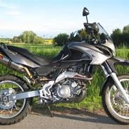 Aprilia Pegaso Trail