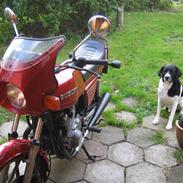 Suzuki GS 450