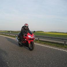 Honda CBR 600 F4i (Solgt)