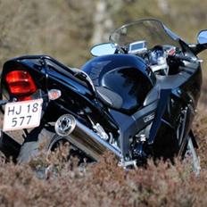 Honda CBR 1100 Super Blackbird