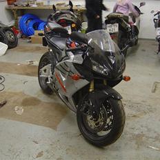 Honda CBR600RR (Banejern)