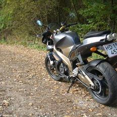 Aprilia RSV 1000 Tuono