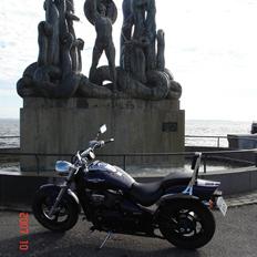 Suzuki VZ800/z intruder