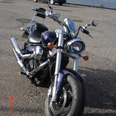 Suzuki VZ800/z intruder