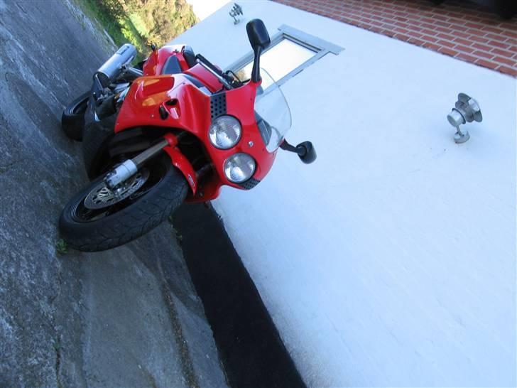 Honda cbr 900 rr (solgt)  - The big bug billede 5