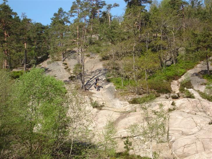 Gas Gas txt pro     solgt billede 7