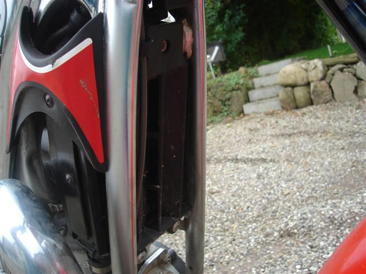 Gas Gas txt pro     solgt billede 13