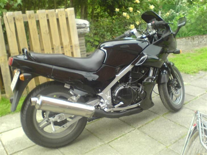 Kawasaki gpz 500s billede 1