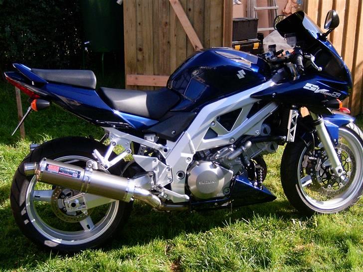 Suzuki Sv 1000 S billede 6