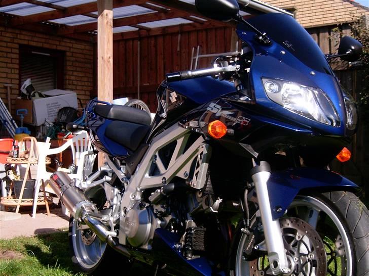 Suzuki Sv 1000 S billede 7