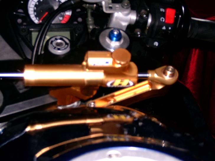 Suzuki Sv 1000 S billede 10