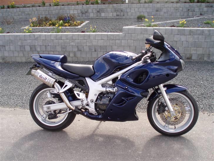 Suzuki SV 650S billede 3