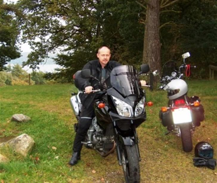 Suzuki dl 650 v strom billede 1