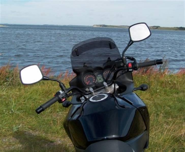 Suzuki dl 650 v strom billede 6