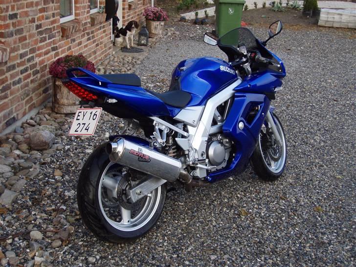 Suzuki Sv 650s billede 2