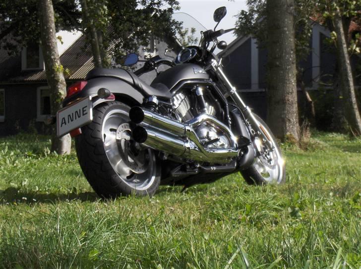 Harley Davidson Night Rod billede 11