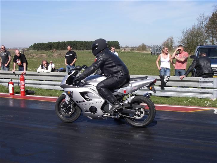 Triumph Daytona 955i billede 14