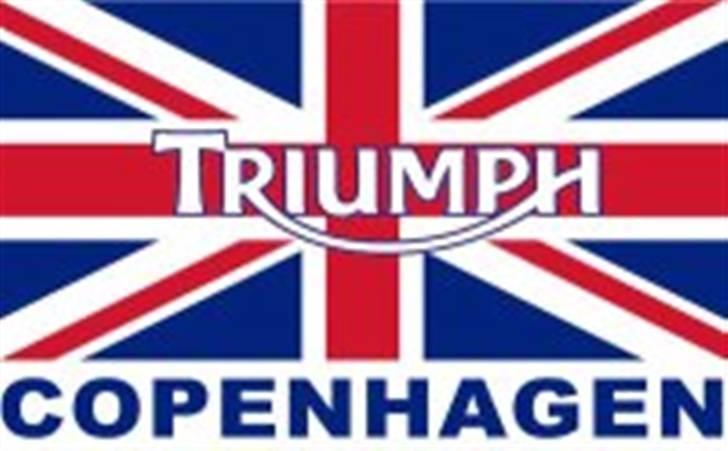 Triumph Daytona 955i billede 15