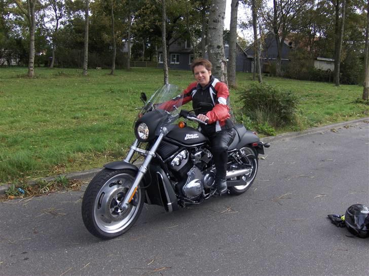 Harley Davidson Night Rod - Rotten med ekstraudstyr.. smiler billede 12