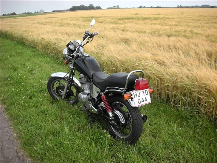 Suzuki GN 400 billede 3