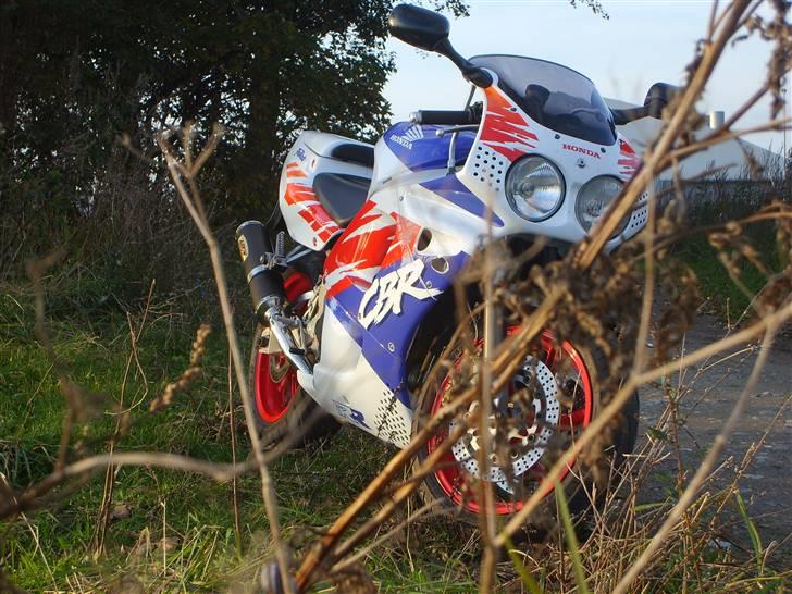 Honda Cbr 900 rr Fireblade billede 11