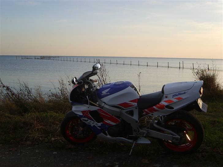 Honda Cbr 900 rr Fireblade billede 12