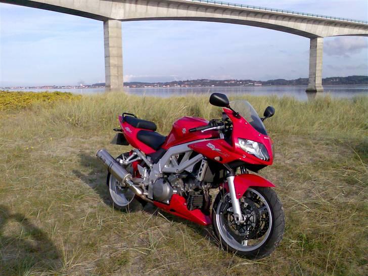 Suzuki SV 1000 S K4 - Nyt billede billede 10