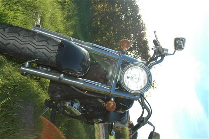 Kawasaki VN800 CLASSIC - Cyklen set forfra. billede 4