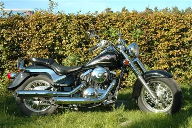 Kawasaki VN800 CLASSIC - Cyklen i fuldt flor foran naboens hæk. billede 6