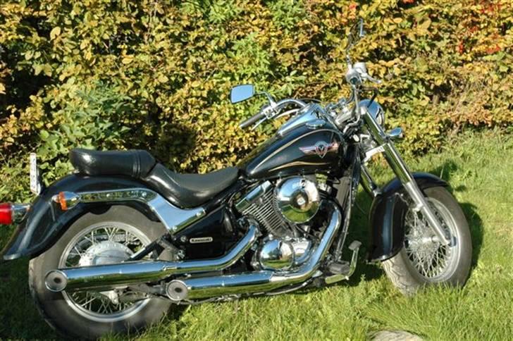 Kawasaki VN800 CLASSIC - Lidt fra siden, stadig foran naboens hæk. billede 7