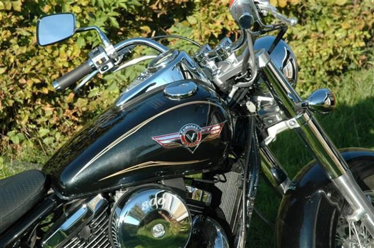 Kawasaki VN800 CLASSIC - Fra siden er tanken også lækker billede 12