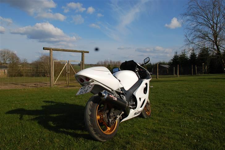 Suzuki Gsx-R 600 Perlen (solgt) - Perlen. billede 2