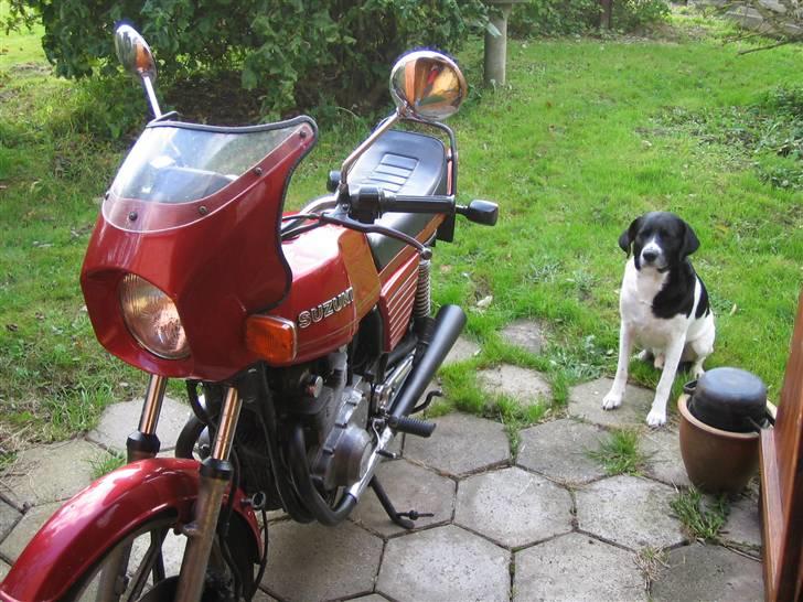 Suzuki GS 450 billede 2