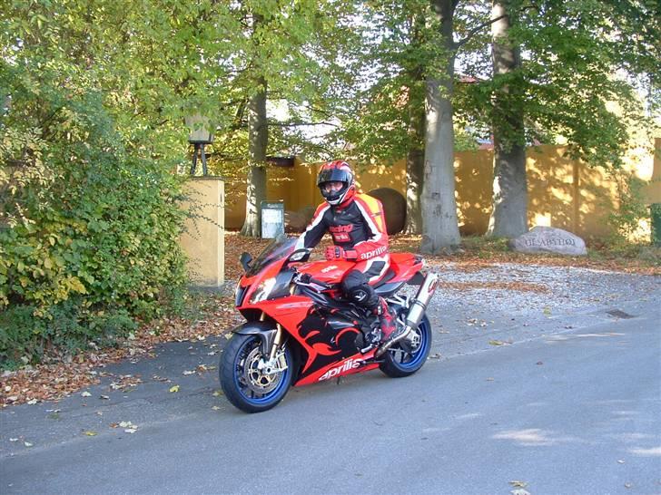 Aprilia RSV 1000 Factory billede 14