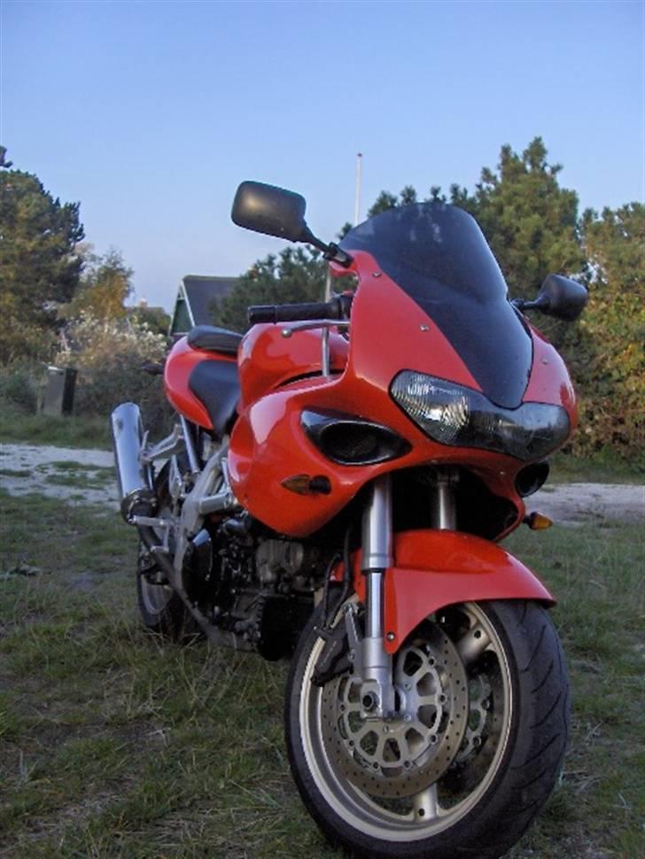 Suzuki TL 1000s billede 2