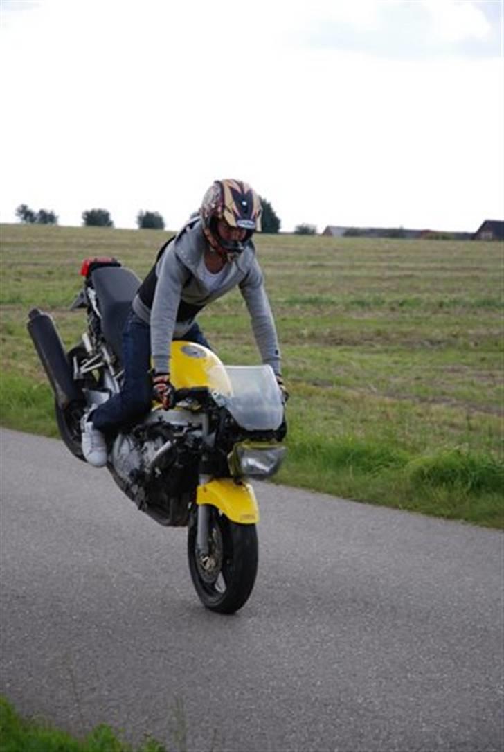 Honda CBR600F3 billede 11