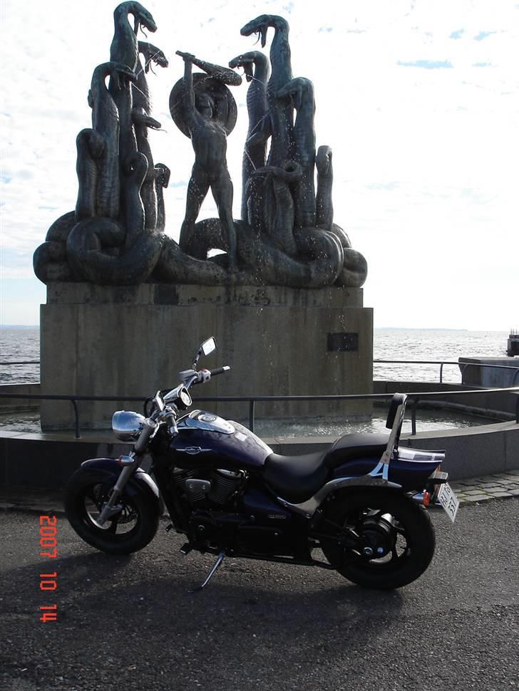 Suzuki VZ800/z intruder billede 1