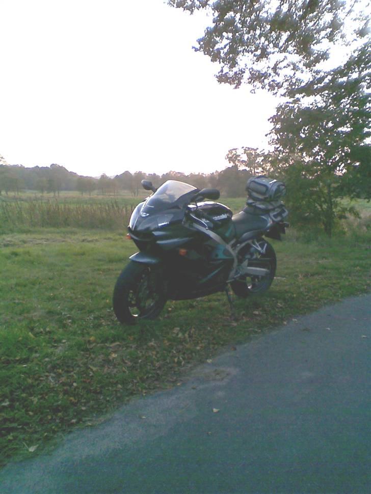 Kawasaki ZX9R - Totalskadet - Fyraftenstur en dejlig oktoberdag billede 13