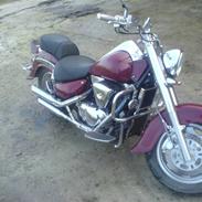 Suzuki vl 1500